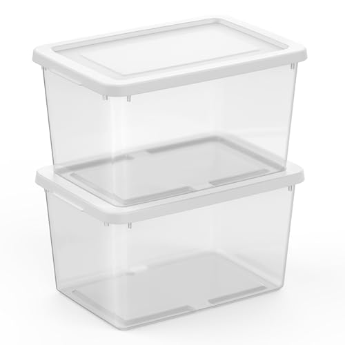Sterilite 18 Pack Storage Boxes, Clear Plastic Stackable Containers, Lightweight Home Organizers with Snap Lids, 20 Quart, White - size: 20 Quart, style: 18 Pack