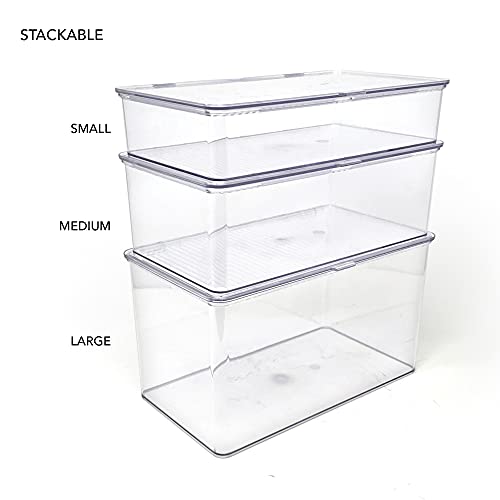Isaac Jacobs Large Stackable Organizer Bin (10.75” x 6.5” x 6.1”) w Hinged Lid Clear Storage Box Home Office School Fridge Bathroom Kitchen Pantry Container BPAFree Food Safe (Large Clear) - size: Large