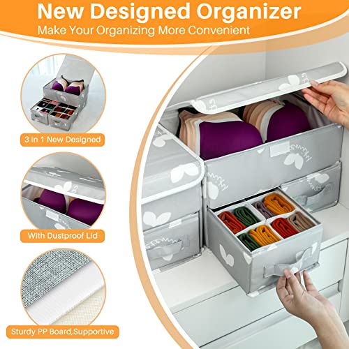 EASEVE Sock Underwear Drawer Divider - Closet Organizers and Dresser Organizer Wardrobe Clothes Box Storage Bins with Lid for Bra, Leggings, Shirt, Panty (1 Pack, Grey) - size: 1 Pack