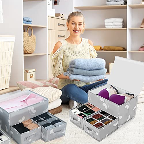 EASEVE Sock Underwear Drawer Divider - Closet Organizers and Dresser Organizer Wardrobe Clothes Box Storage Bins with Lid for Bra, Leggings, Shirt, Panty (1 Pack, Grey) - size: 1 Pack