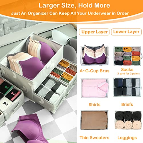 EASEVE Sock Underwear Drawer Divider - Closet Organizers and Dresser Organizer Wardrobe Clothes Box Storage Bins with Lid for Bra, Leggings, Shirt, Panty (1 Pack, Grey) - size: 1 Pack