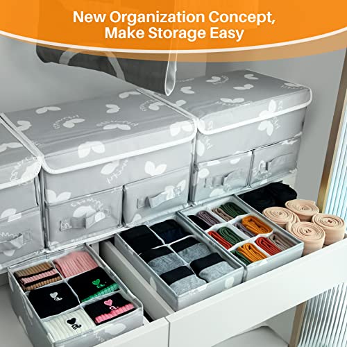 EASEVE 2 Pack Sock Underwear Drawer Organizer Divider - Closet Organizers and Storage Dresser Organizer Wardrobe Clothes Box Storage Bins with Lid for Bra, Socks, Leggings, Shirt, Panty (Grey) - size: 2 Pack