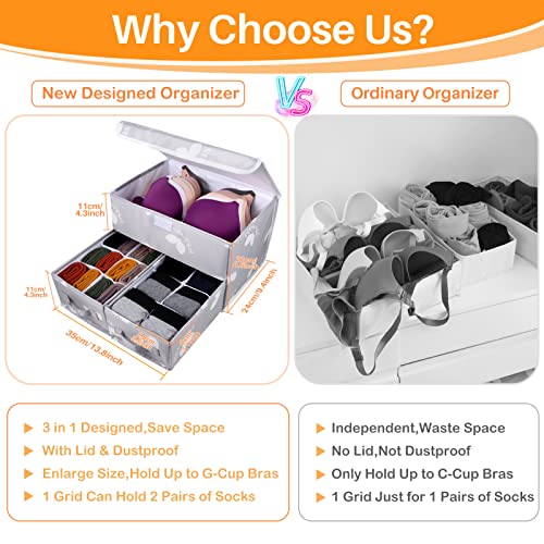 EASEVE Sock Underwear Drawer Divider - Closet Organizers and Dresser Organizer Wardrobe Clothes Box Storage Bins with Lid for Bra, Leggings, Shirt, Panty (1 Pack, Grey) - size: 1 Pack