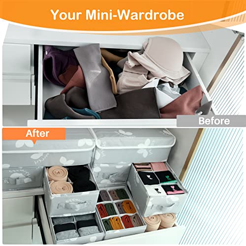 EASEVE Sock Underwear Drawer Divider - Closet Organizers and Dresser Organizer Wardrobe Clothes Box Storage Bins with Lid for Bra, Leggings, Shirt, Panty (1 Pack, Grey) - size: 1 Pack