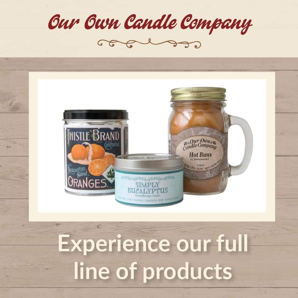 Our Own Candle Company Premium Wax Melt, Pumpkin Spice, 6 Cubes, 2.4 oz (4 Pack)