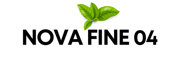 Nova Fine04